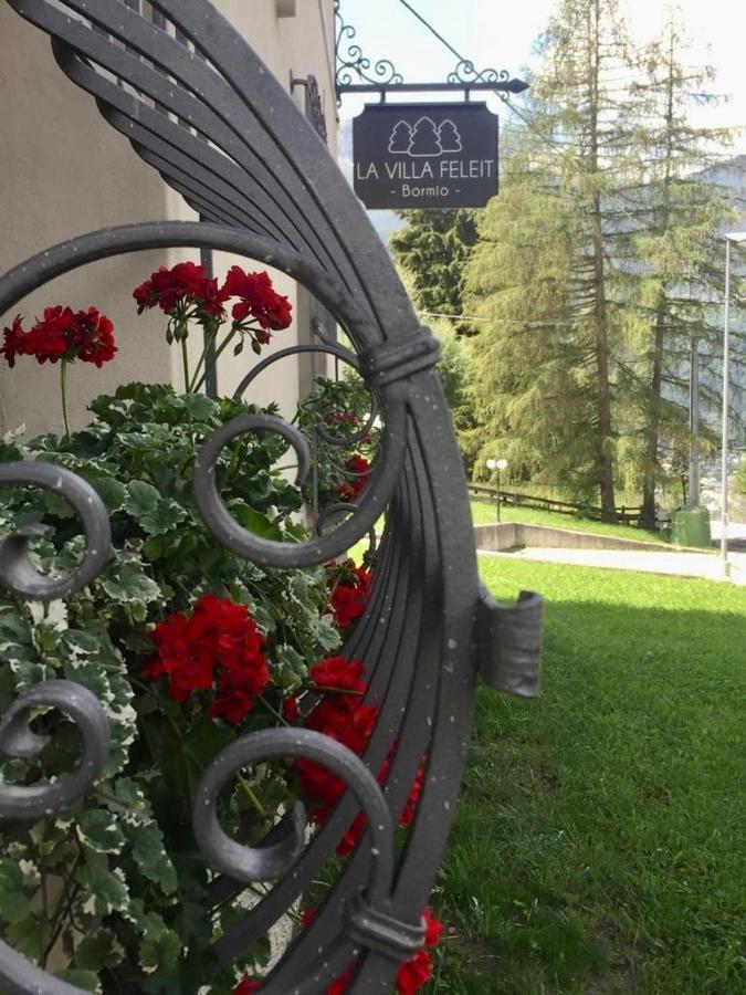 La Villa Feleit Бормио Экстерьер фото